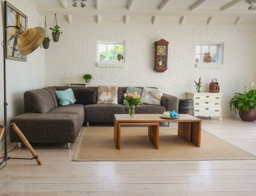 Plantas para Limpiar y Equilibrar tu Casa