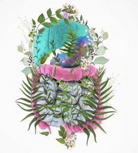 Permeabilidad intestinal